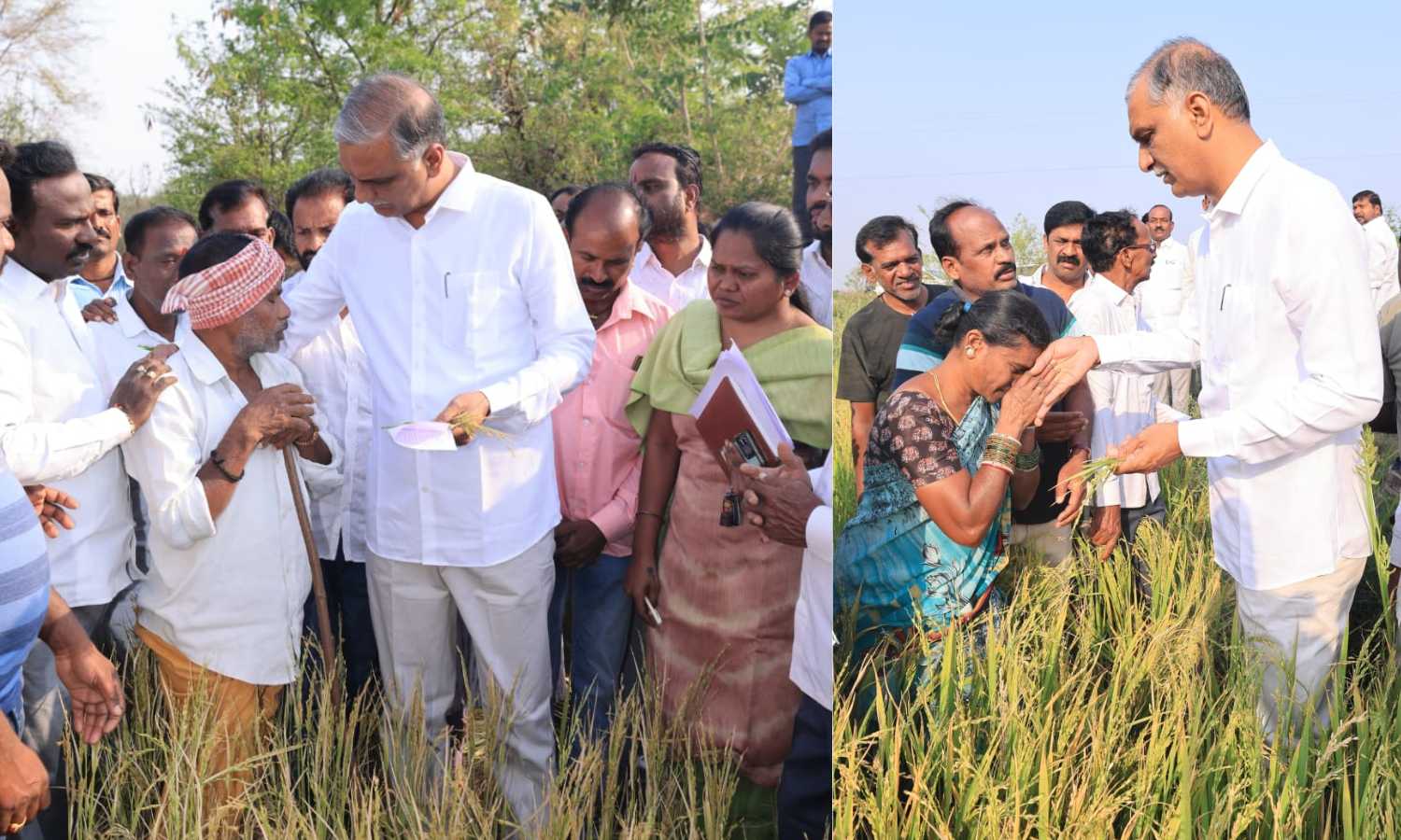 Harish Rao