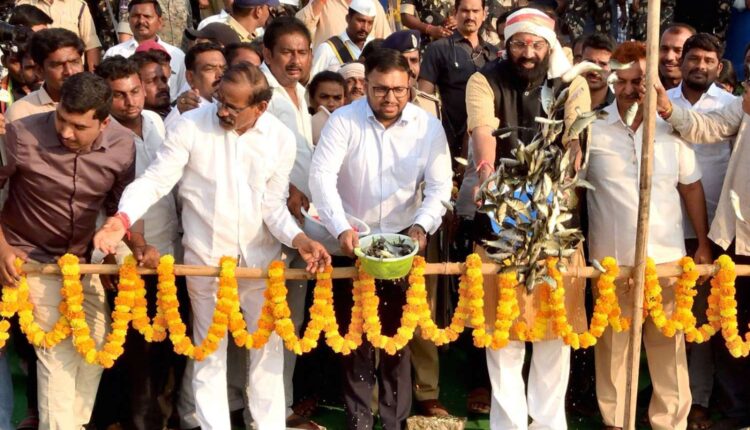 Telangana paddy procurement