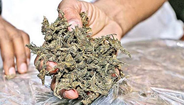 ganja seized at Nekkonda