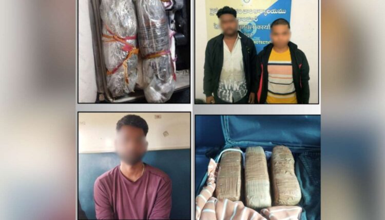 EAGLE Force ganja seizure