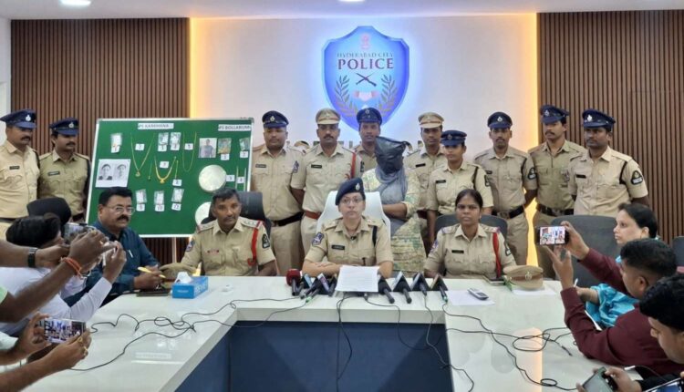 Servant theft cases