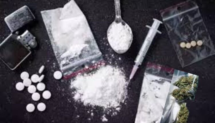 drug network crackdown
