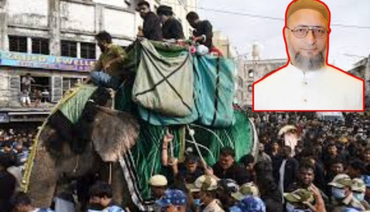 trained elephant for processions