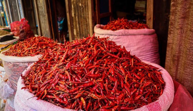 Chilli prices surge after Sankranti