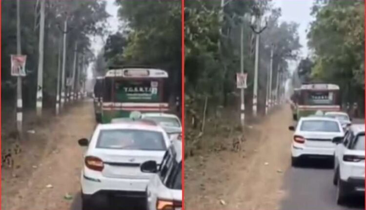 Medaram Jathara traffic jam