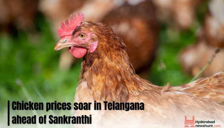 Chicken prices soar across Telangana markets