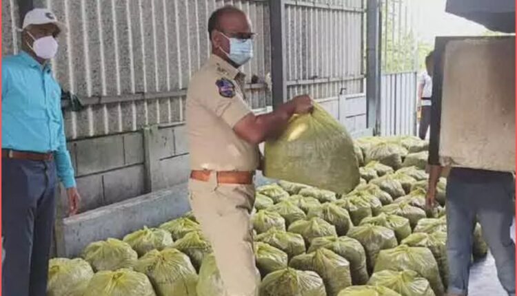 Kothagudem police destroy seized ganja