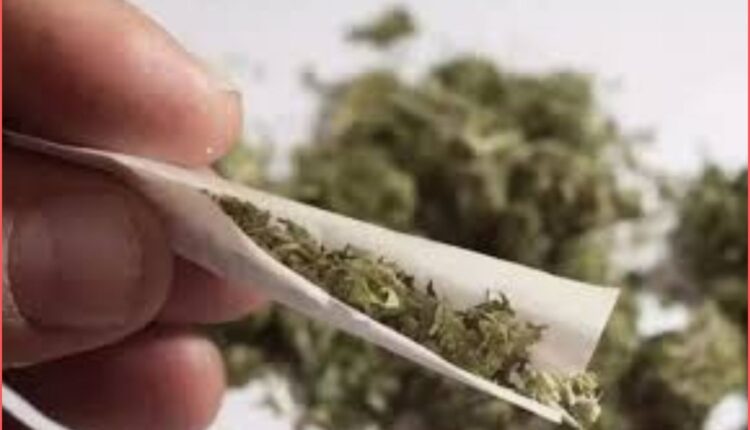 Woman excise constable hurt in ganja smuggling bid in Nizamabad