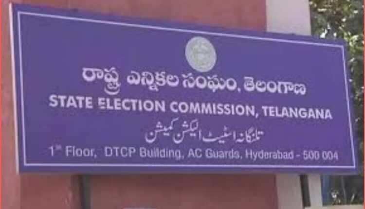 municipal election schedule