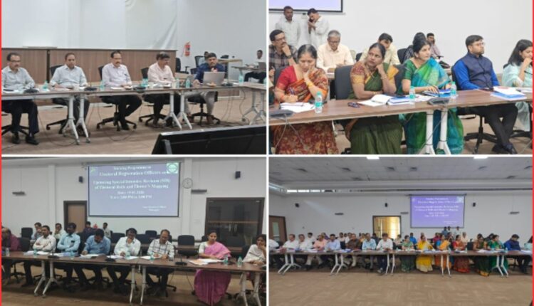 Electoral roll revision