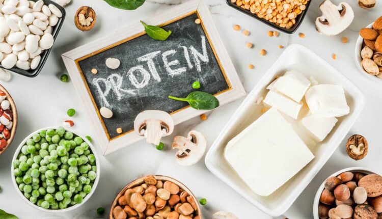 IPEMA celebrates World Protein Day 2026