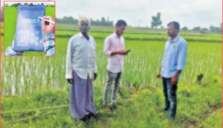 Telangana plans Yasangi crop survey in 45 days