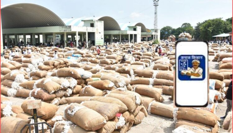 Cotton procurement Telangana: CCI closes Kapas Kisan app
