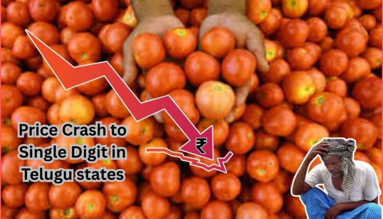 Tomato prices crash in Telugu states, farmers hit hard