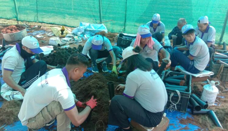 Hockey India plantation drive begins during Hyderabad qualifiers