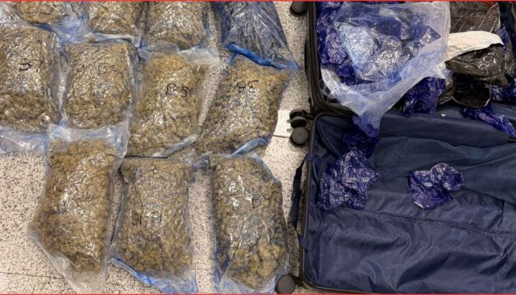 Hydroponic weed seizure