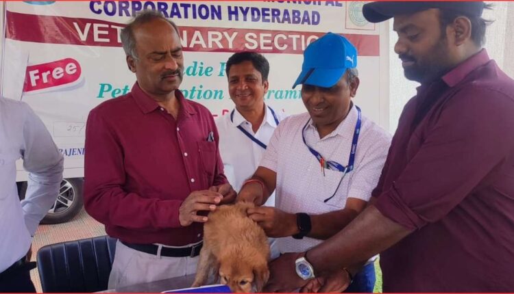 Indie Puppies adoption drive