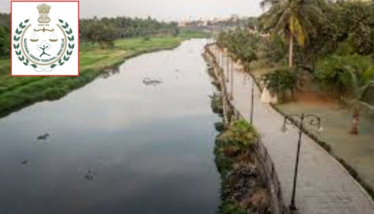 Musi river project gets NGT relief