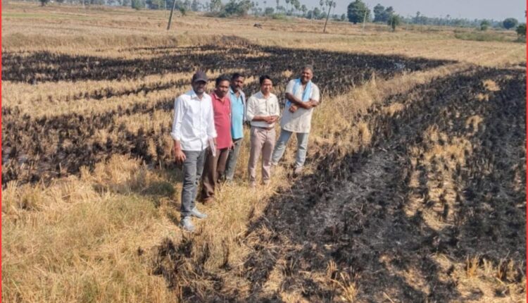 Crop residue burning draws Agriculture Department warning