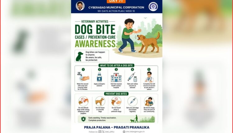 dog bite awareness