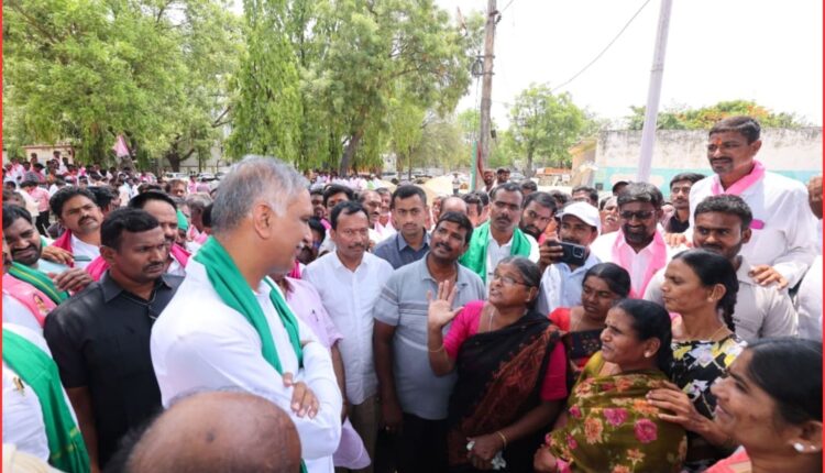 paddy procurement