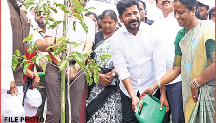 Van Mahotsav 2026 to begin in Telangana