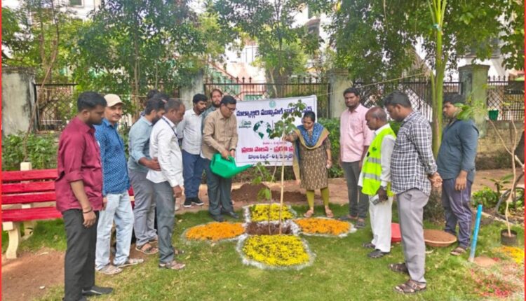 Park maintenance entrusted to SHG women
