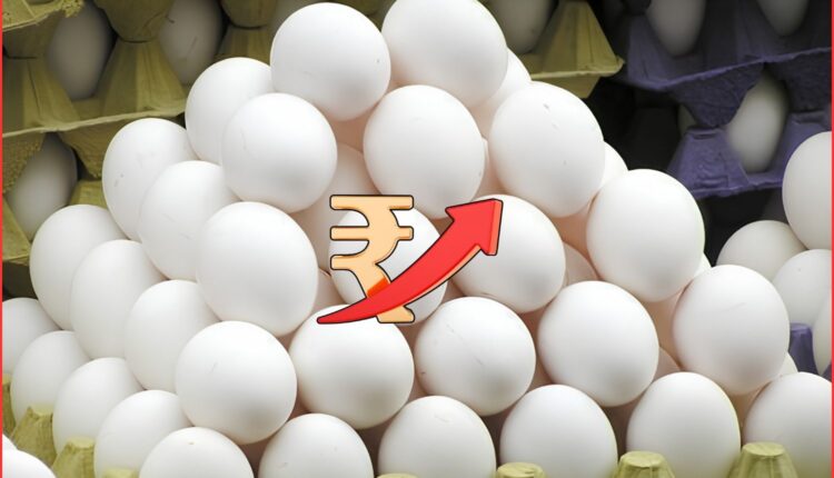 Egg prices Hyderabad