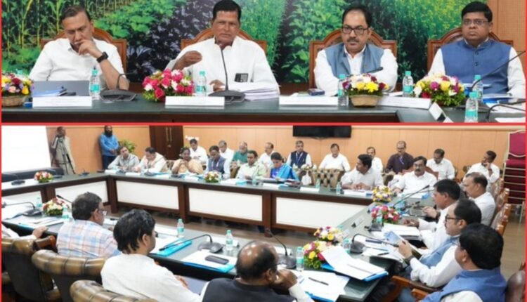 Telangana El Niño committee