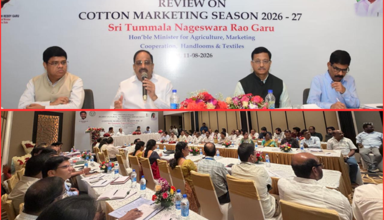 cotton procurement