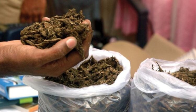 Ganja seizure Qutubullapur: 30 kg seized