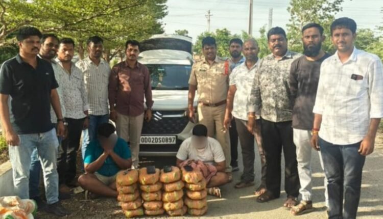 Ganja seizure Panthangi: 20.5 kg seized