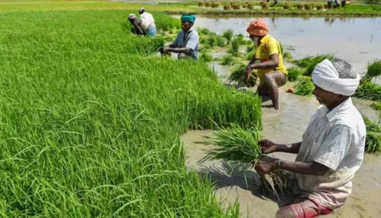 Erravelli survey to focus on farmer-wise land holdings
