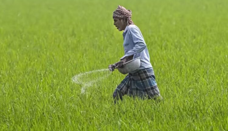 Fertiliser booking troubles hit Ellareddypet farmers