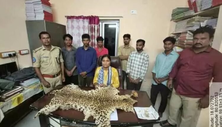 Leopard skin seized in Cherla; six booked
