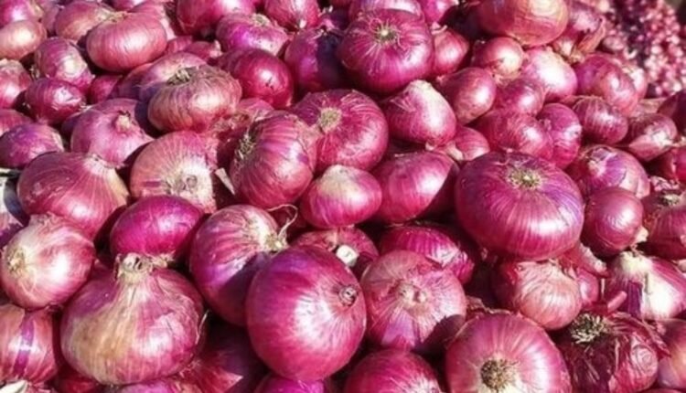 Onion prices rise to Rs. 80 per kilo