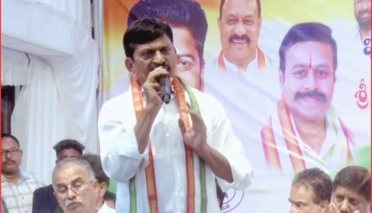 graduates MLC election